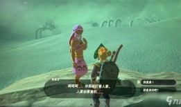 塞尔达 沙漠 吃瓜